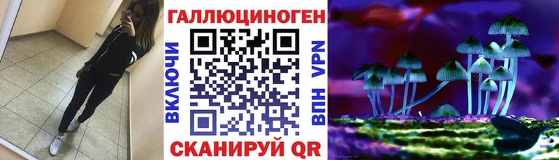 Галлюциногенные грибы прущие грибы  даркнет сайт  Чернушка 