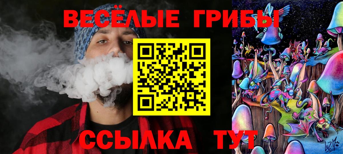 Чернушка  Галлюциногенные грибы Psilocybe  Вход с VPN 